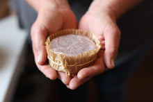 Load image into Gallery viewer, Koda - Sweet Dusty Rose